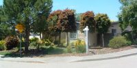 Jasmine Court